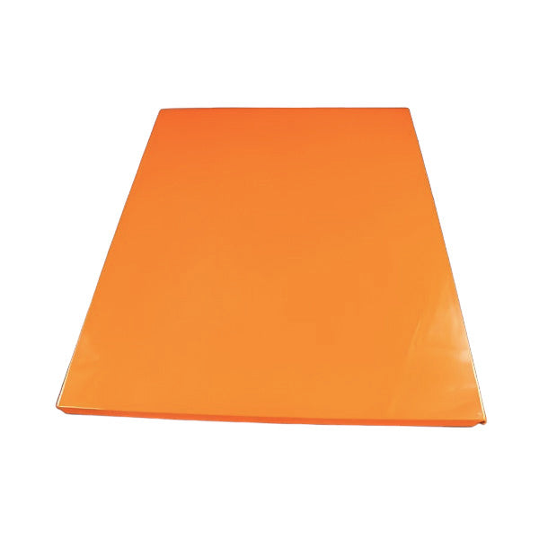 BERTAZZONI 128004 FIANCO VERNICIATO S3D1 ARANCIO (GENUINE OEM PART)