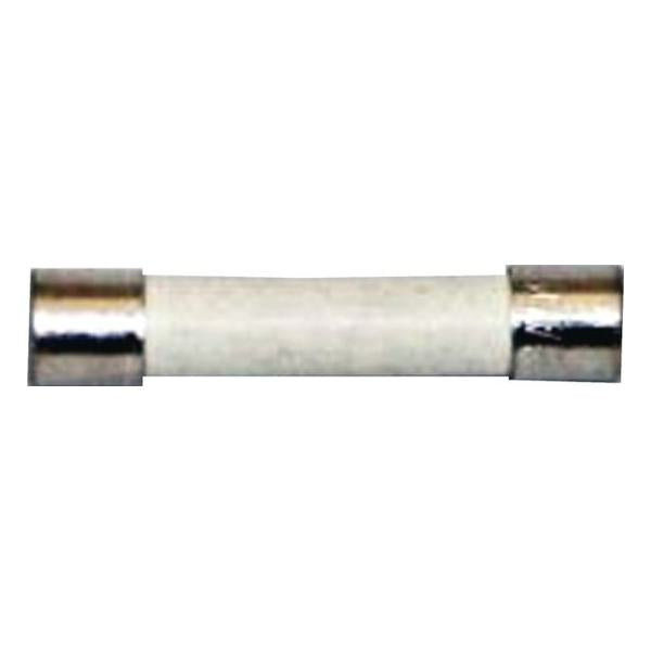 BOSCH 10008215 FUSE (GENUINE OEM PART)