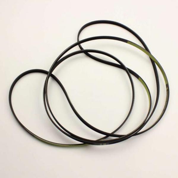 LG APPLIANCES 4400EL2001D POLY V BELT (genuine oem part) - Parts Solution Group