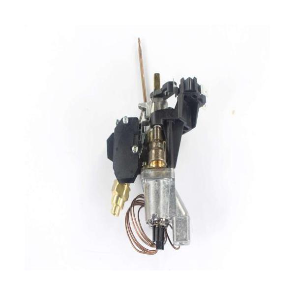 BERTAZZONI 503177 TER.GAS S3D1 2V.VAFGGG BP A (GENUINE OEM PART) - Parts Solution Group