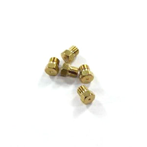 BERTAZZONI 506166 NOZZLE G20/10 DIAM.118 DIS0222 (GENUINE OEM PART)