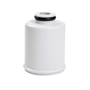 GE APPLIANCE FXSCH REPLACEMENT SHOWER FILTER (genuine oem part)