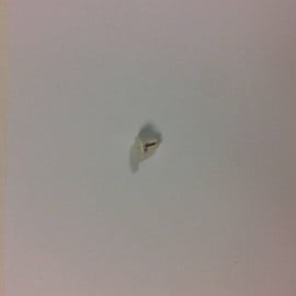 FRIGIDAIRE 5304509637 PC BOARD (genuine oem part)