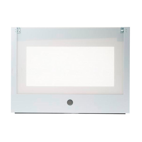 GE APPLIANCE WB56X32841 OUTER DOOR ASM WHITE (GENUINE OEM PART)