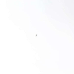 MIDEA 400112912004 FUSE (2.5A 125V) (GENUINE OEM PART)