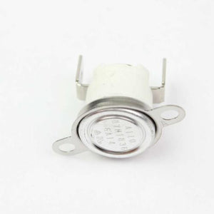 BLOMBERG 263900059 BODY THERMOSTAT (GENUINE OEM PART)