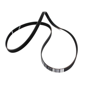 BLOMBERG 2466300201 ELASTIC POLY-V BELT ASSEMBLY (GENUINE OEM PART)